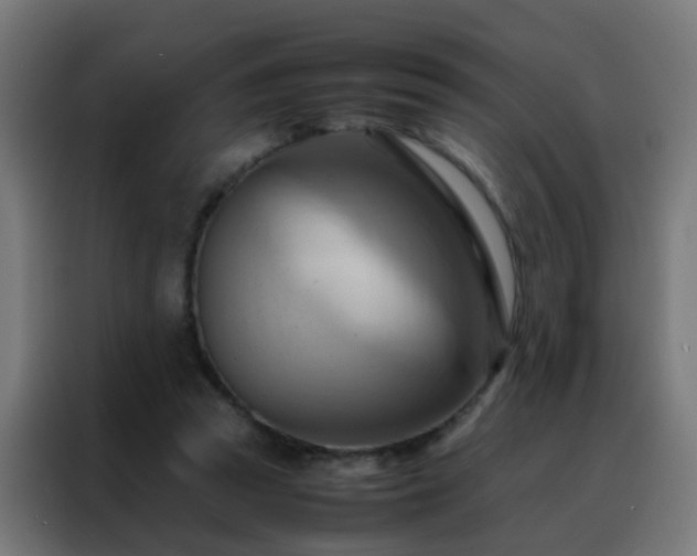X0000088210353200705221748
