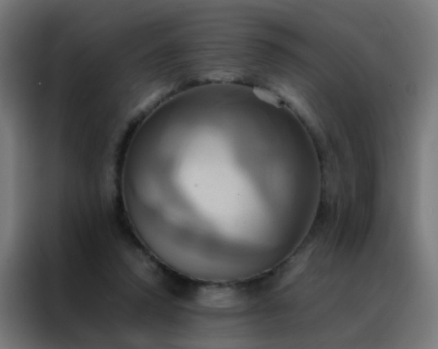 X0000088210354200705221748