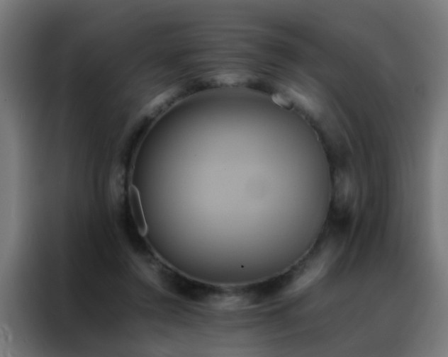X0000088210356200705221748