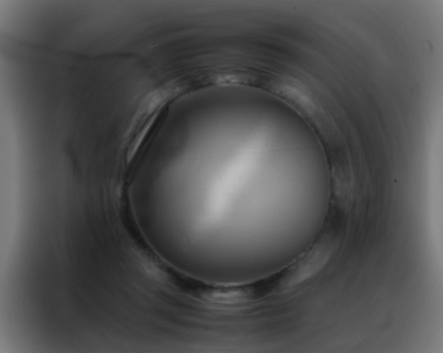 X0000088210357200705221748