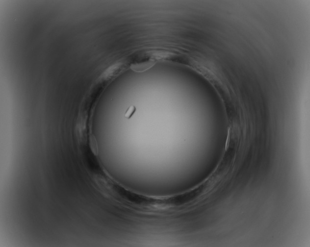 X0000088210360200705221748