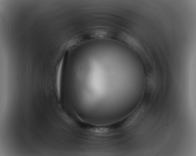X0000088210361200705221748