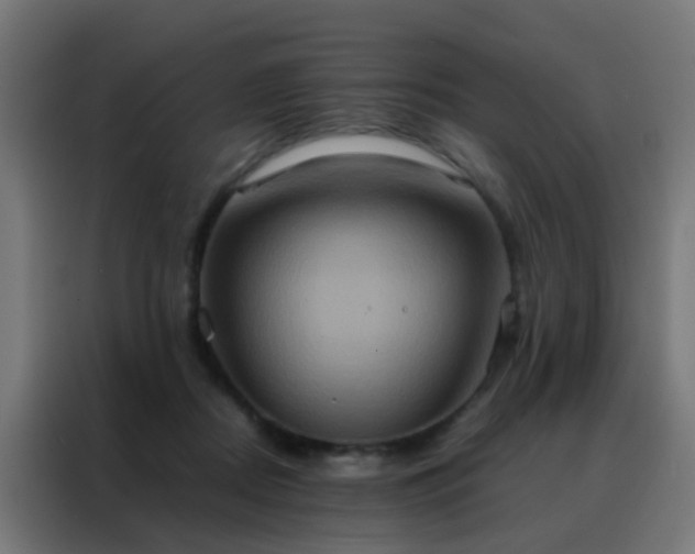 X0000088210362200705221748