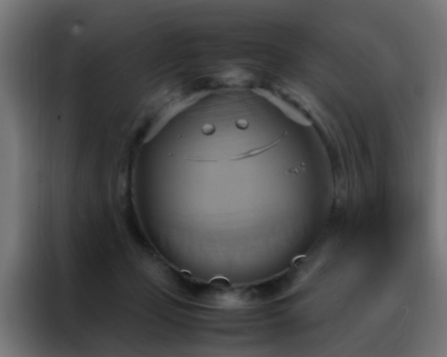X0000088210365200705221748
