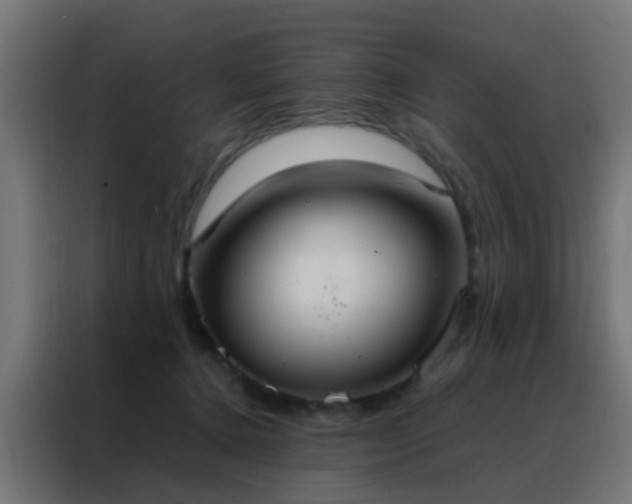 X0000088210368200705221748