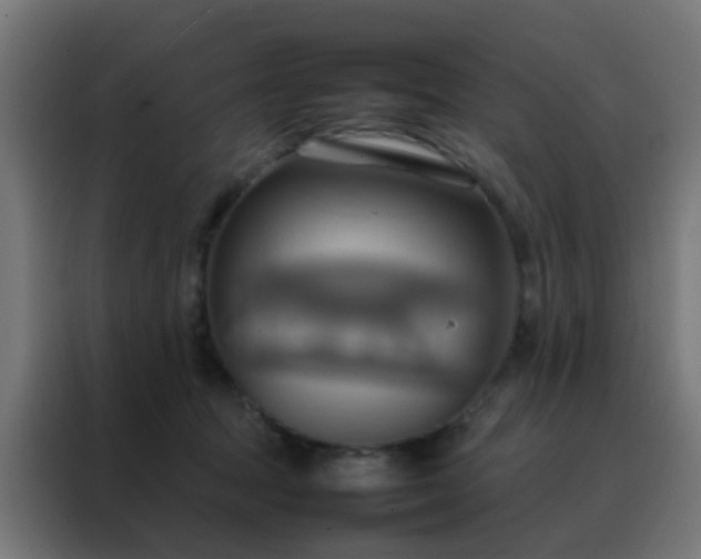 X0000088210369200705221748