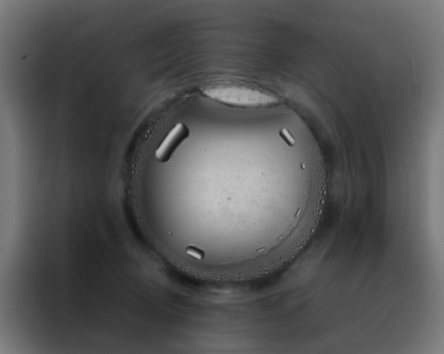 X0000088210370200705221748