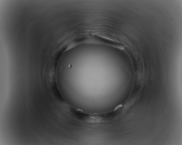 X0000088210376200705221748