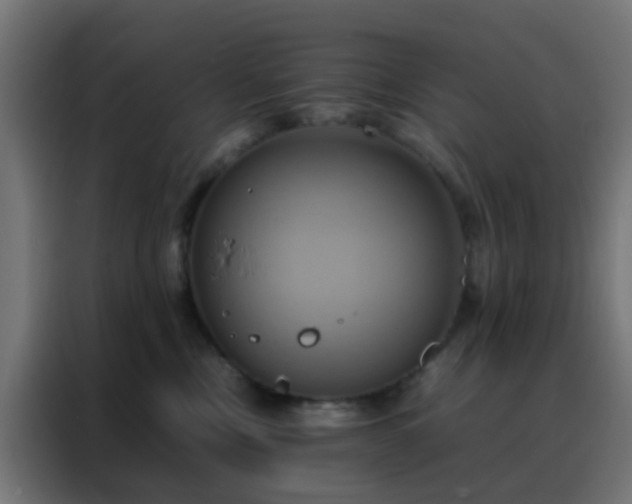 X0000088210378200705221748