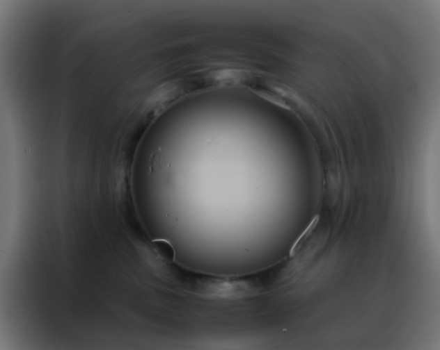X0000088210379200705221748