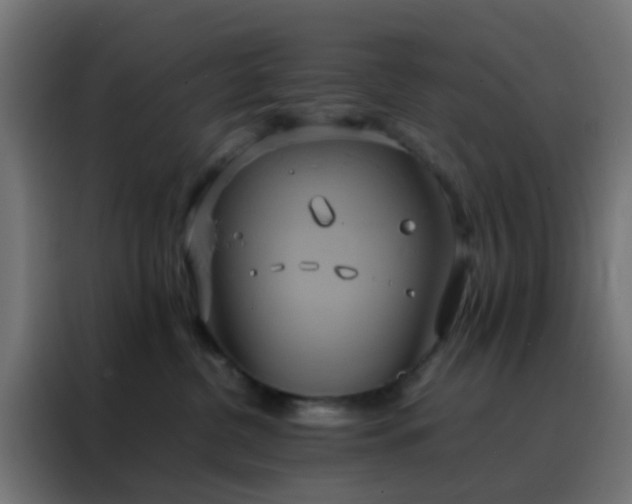 X0000088210380200705221748