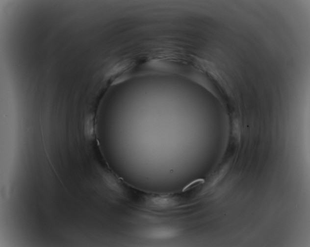 X0000088210383200705221748