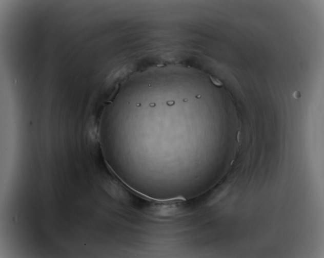 X0000088210384200705221748