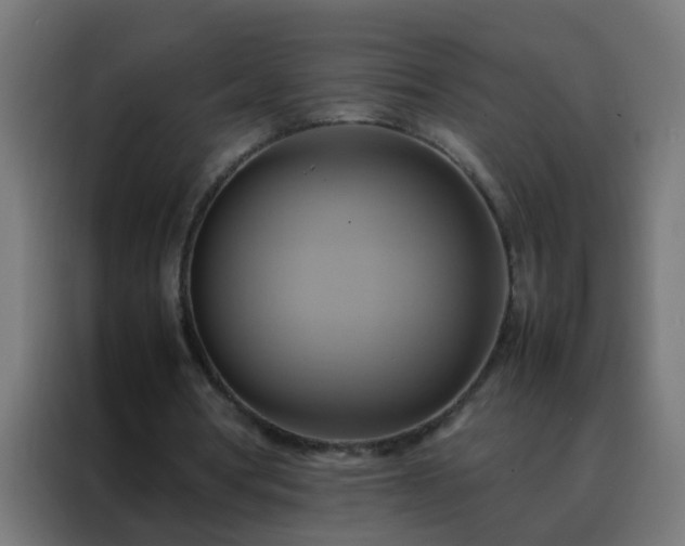 X0000088210386200705221748