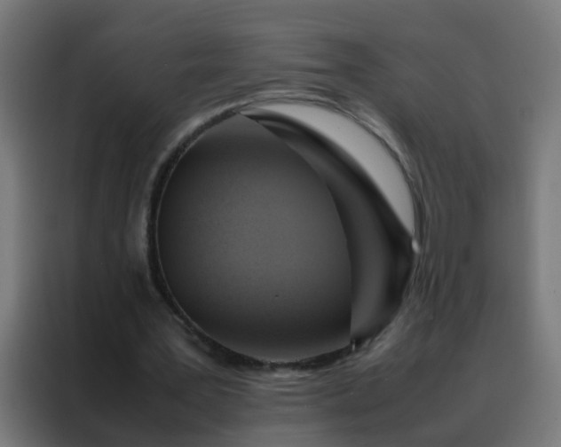 X0000088210387200705221748