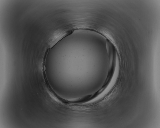 X0000088210389200705221747