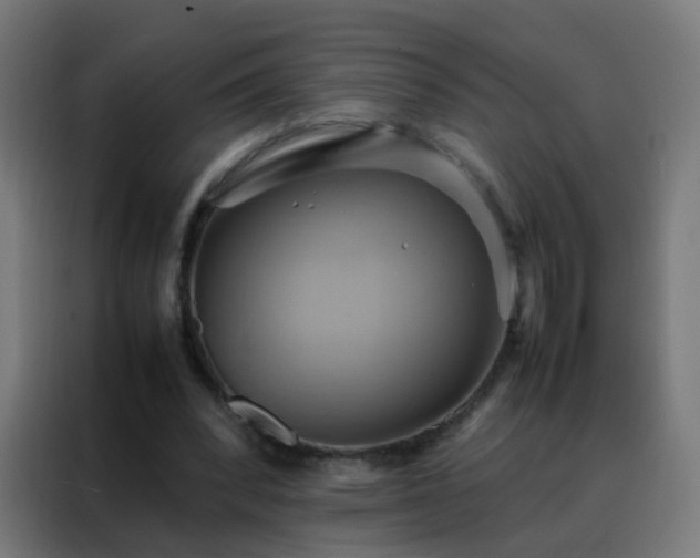 X0000088210392200705221747
