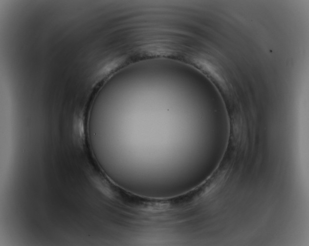 X0000088210398200705221747