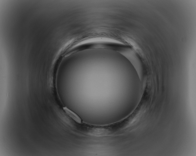 X0000088210399200705221747