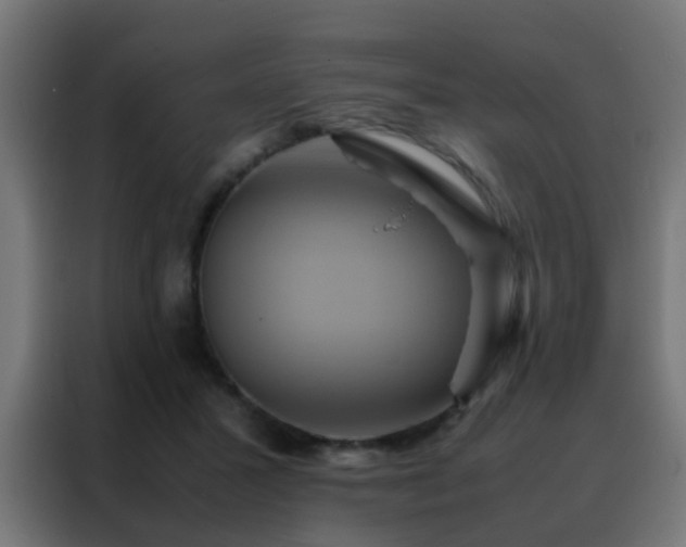 X0000088210407200705221747