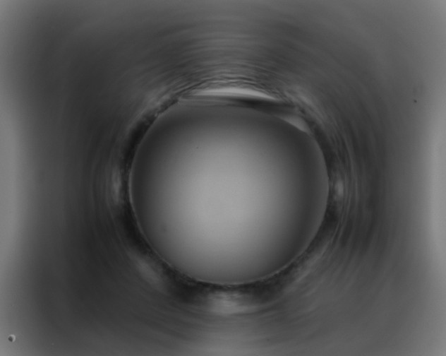 X0000088210408200705221747