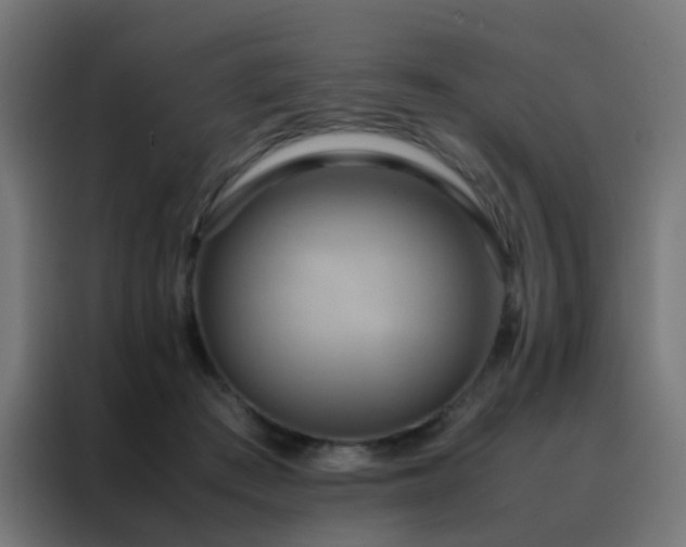 X0000088210409200705221747