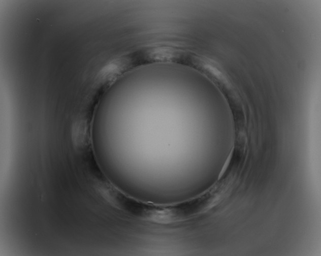 X0000088210411200705221747