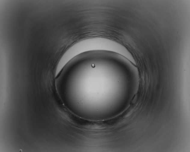 X0000088210412200705221747