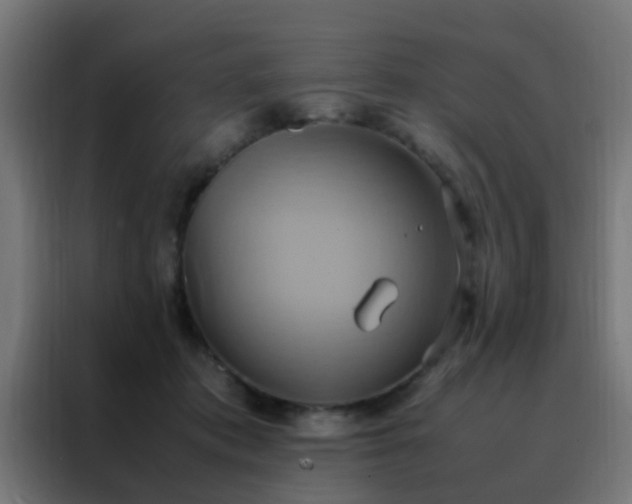 X0000088210413200705221747