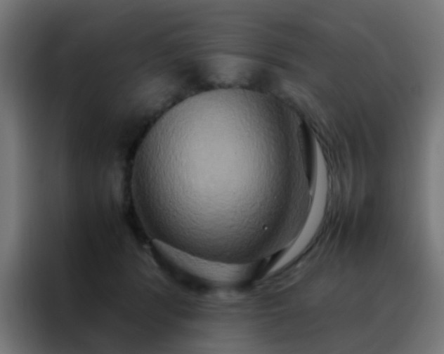X0000088210416200705221747