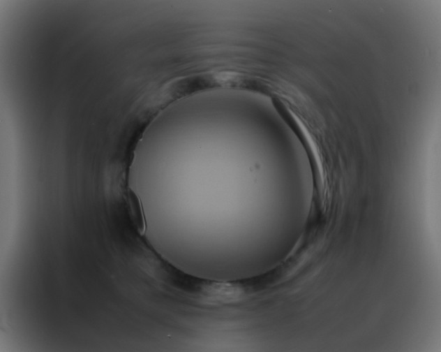 X0000088210421200705221747