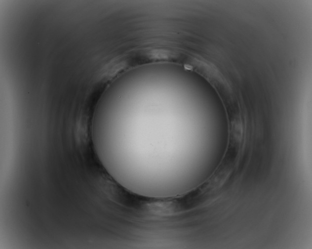 X0000088210422200705221747