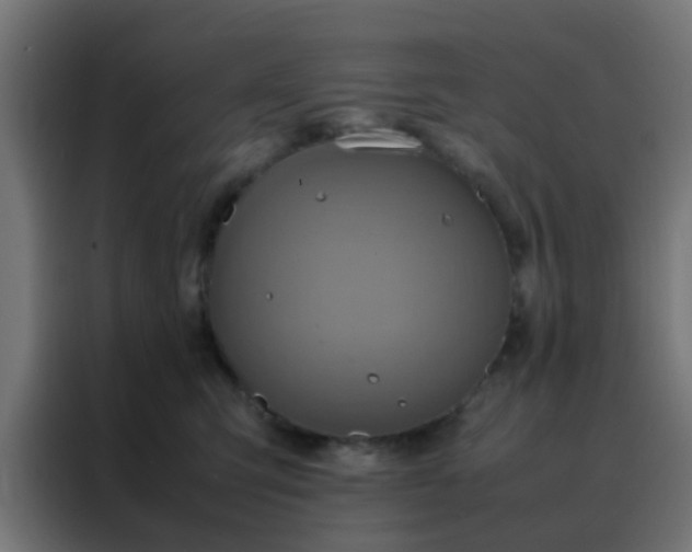 X0000088210423200705221747