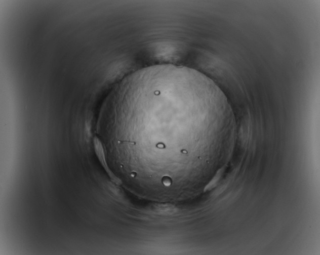 X0000088210424200705221747