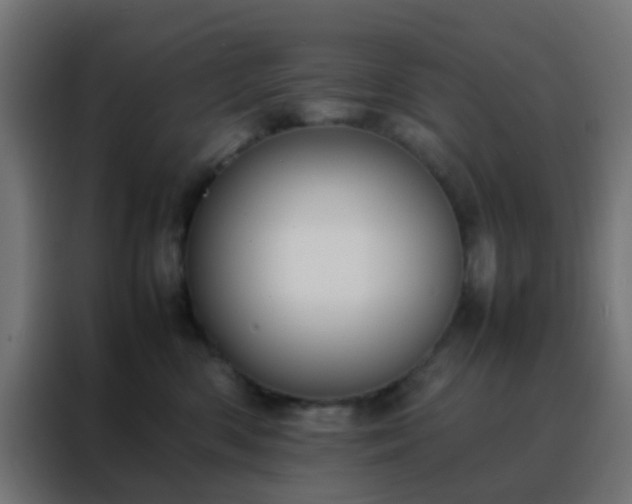 X0000088210426200705221747