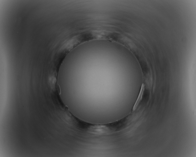 X0000088210427200705221747