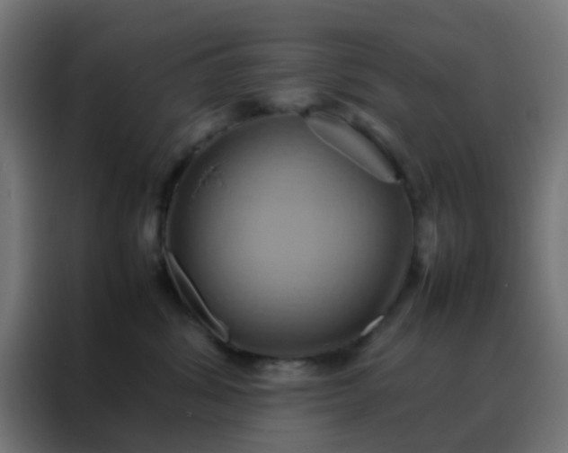 X0000088210428200705221747
