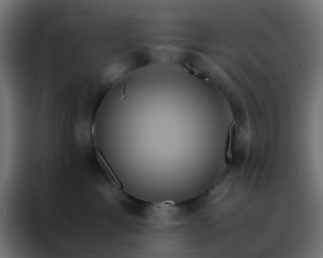 X0000088210429200705221747