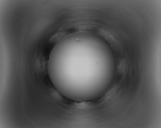 X0000088210430200705221747