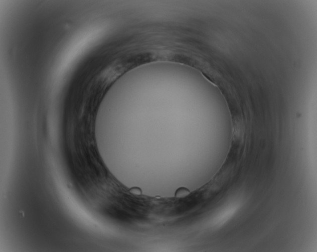 X0000088210431200705221747