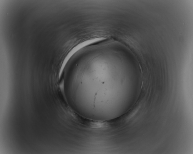 X0000088210432200705221747
