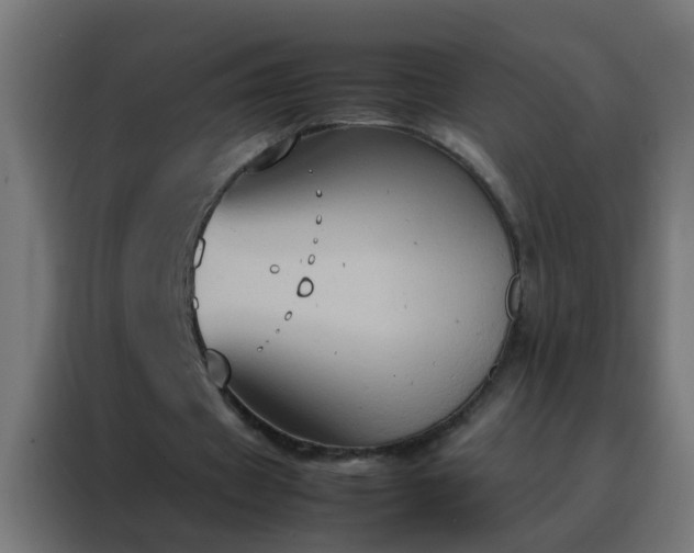 X0000088210433200705221746