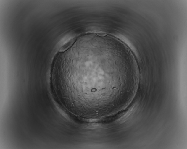 X0000088210437200705221746