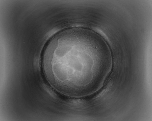 X0000088210439200705221746