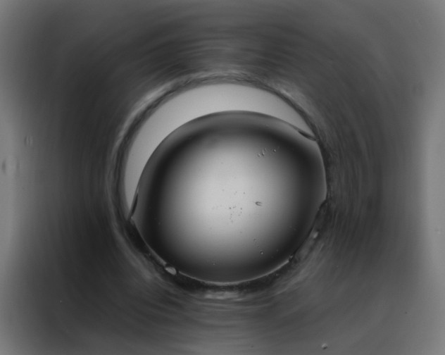 X0000088210440200705221746