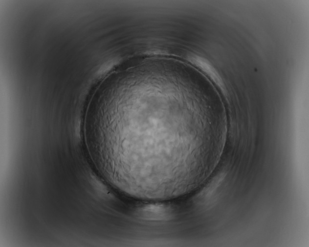 X0000088210441200705221746