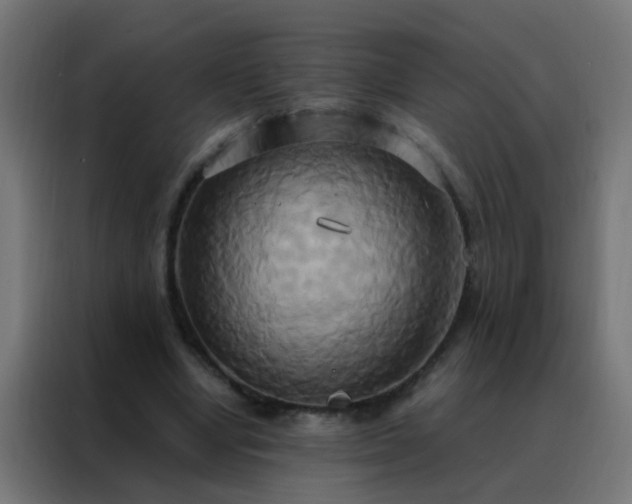 X0000088210442200705221746