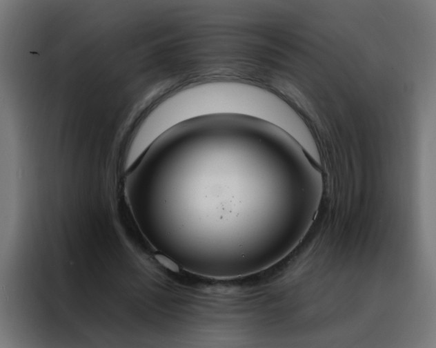 X0000088210444200705221746