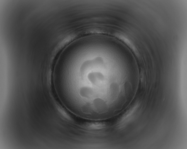 X0000088210445200705221746