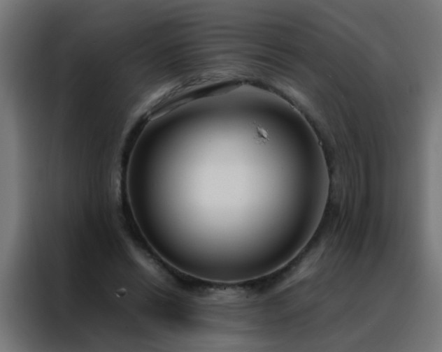 X0000088210446200705221746